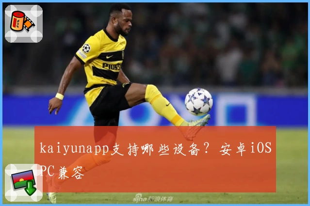 kaiyunapp支持哪些设备？安卓iOSPC兼容