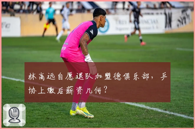 林高远自愿退队加盟德俱乐部，乒协上缴后薪资几何？