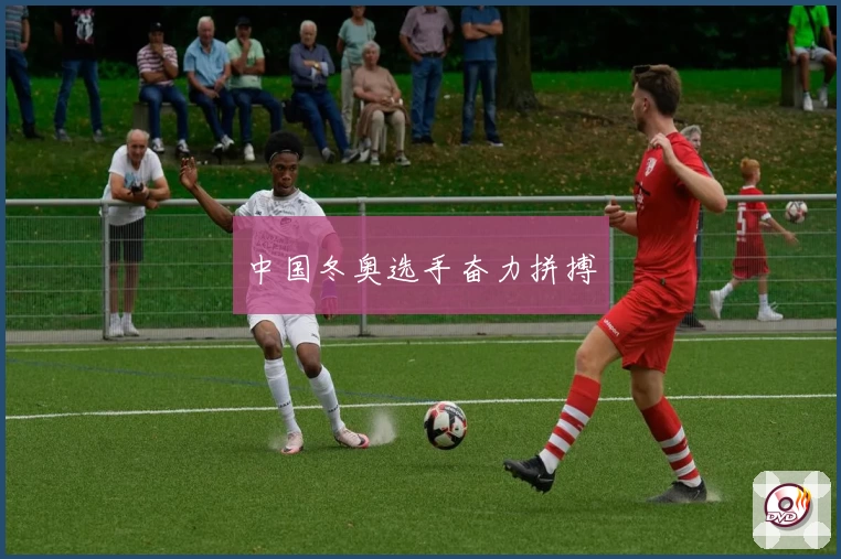 中国冬奥选手奋力拼搏