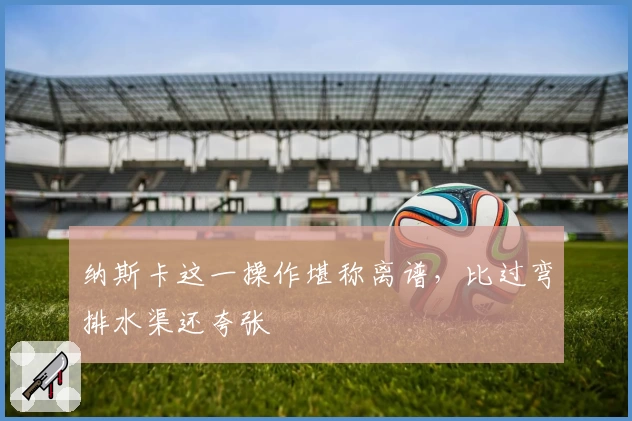 纳斯卡这一操作堪称离谱，比过弯排水渠还夸张