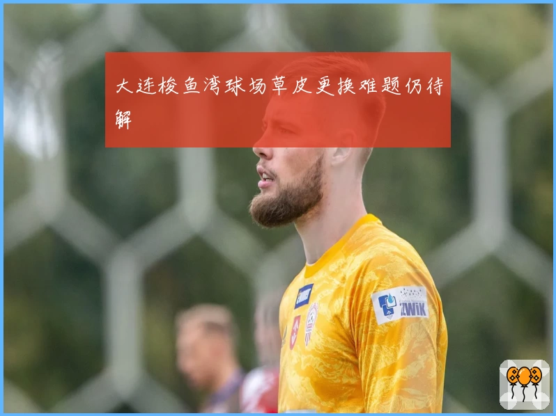 大连梭鱼湾球场草皮更换难题仍待解