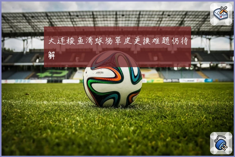 大连梭鱼湾球场草皮更换难题仍待解