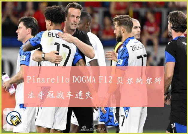 Pinarello DOGMA F12 贝尔纳尔环法夺冠战车遗失